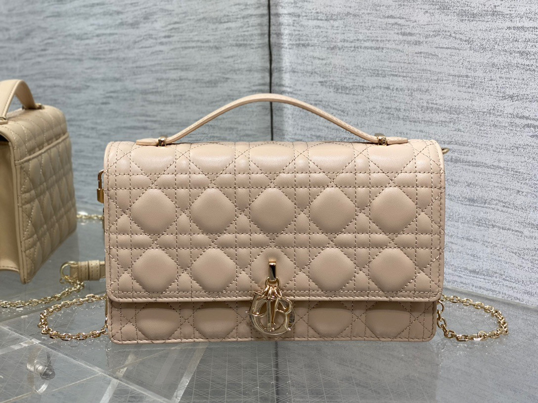 my D*or top handle bag 24x14x7.5cm