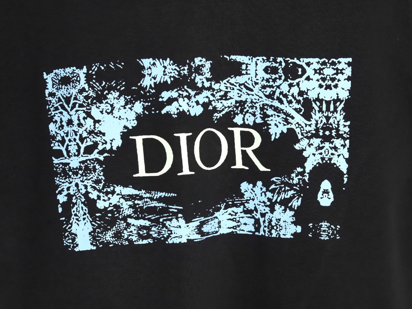D*or 25ss short-sleeved t-shirt