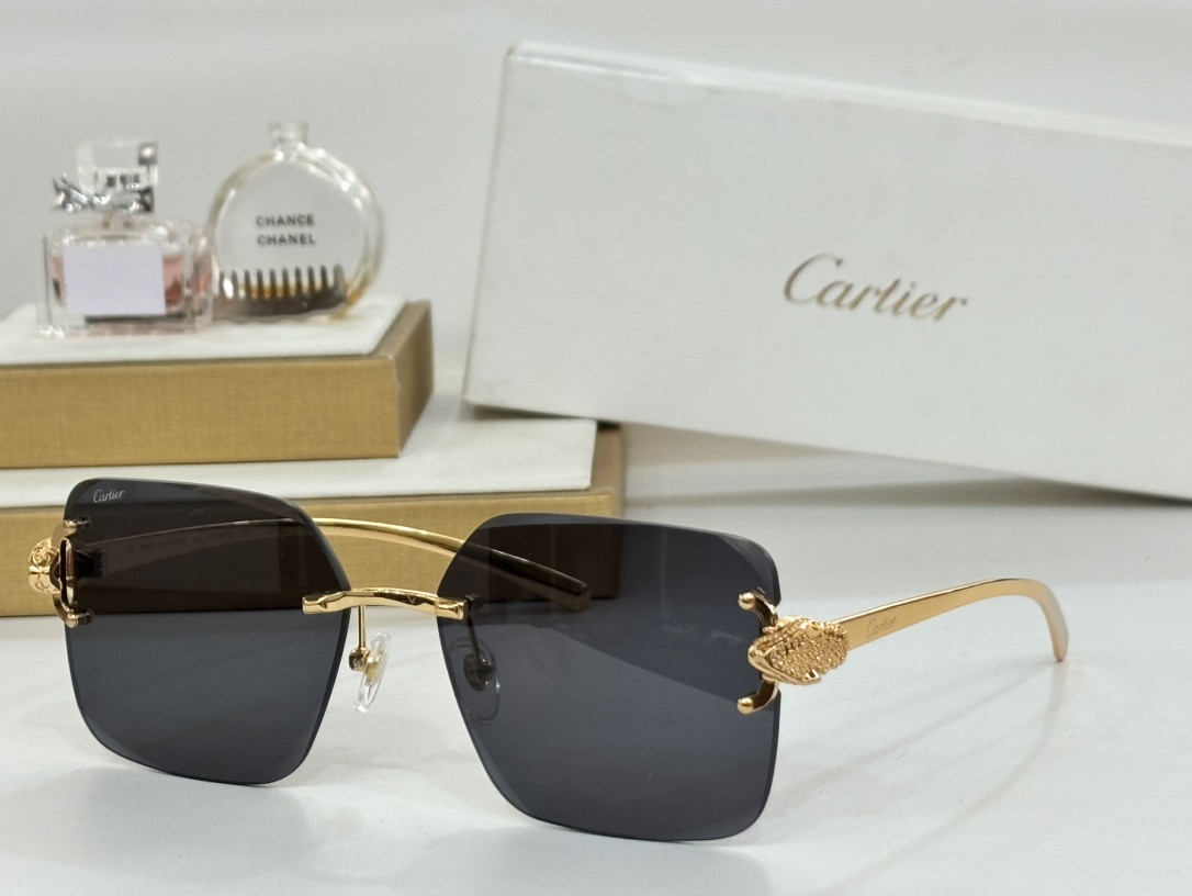 Ca*t*er glasses ct0647 60-17-145